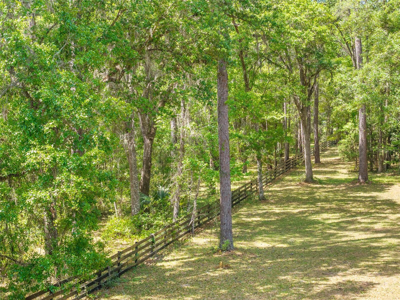 ESTATES/COTTON PLANT - Land