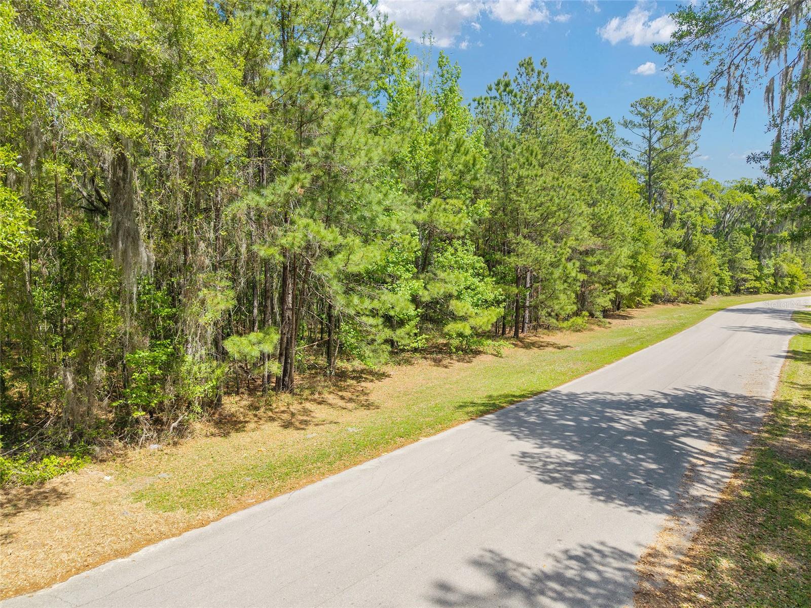 ESTATES/COTTON PLANT - Land