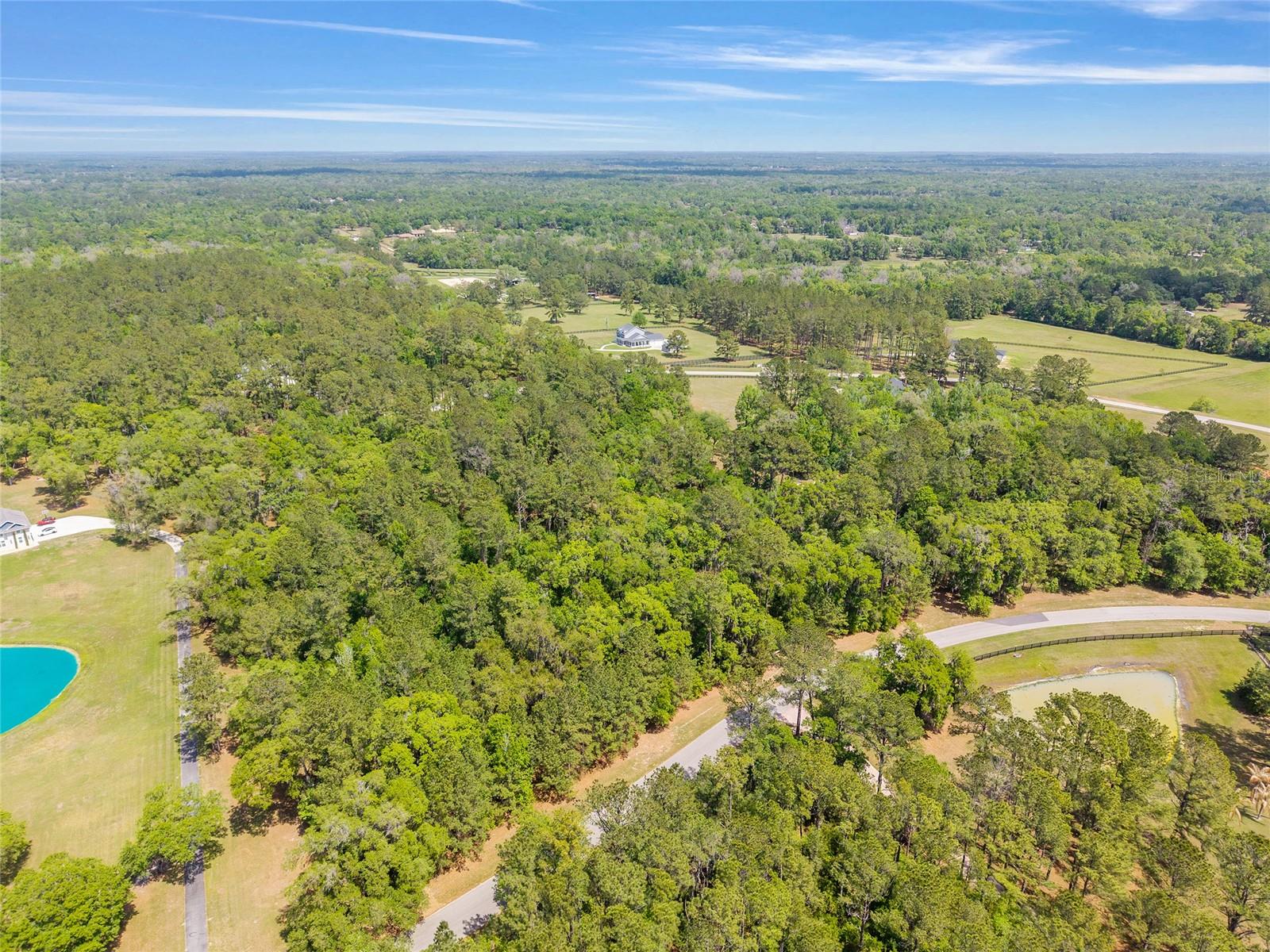 ESTATES/COTTON PLANT - Land