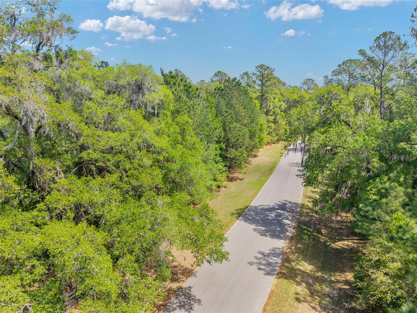 ESTATES/COTTON PLANT - Land