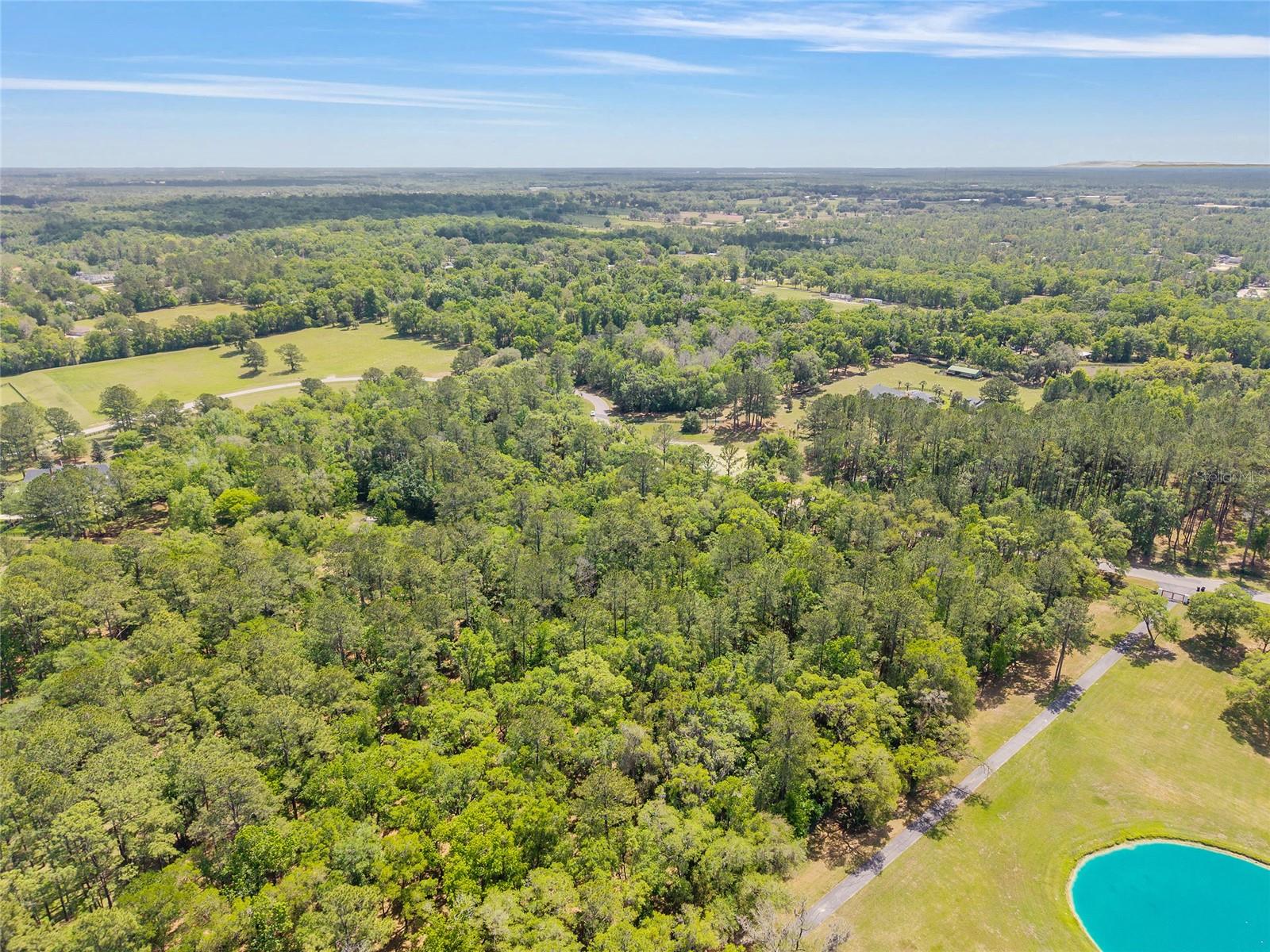 ESTATES/COTTON PLANT - Land