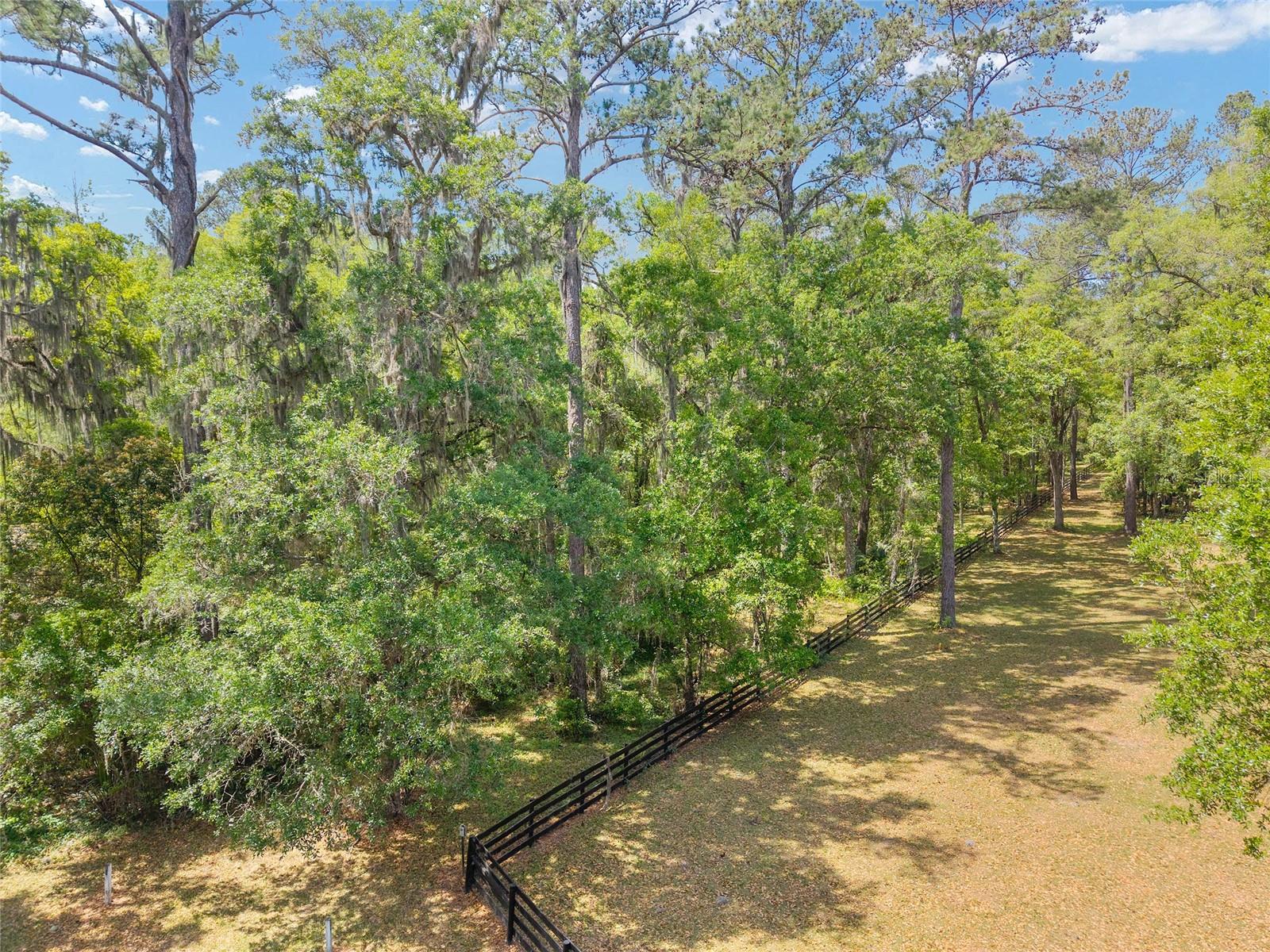 ESTATES/COTTON PLANT - Land