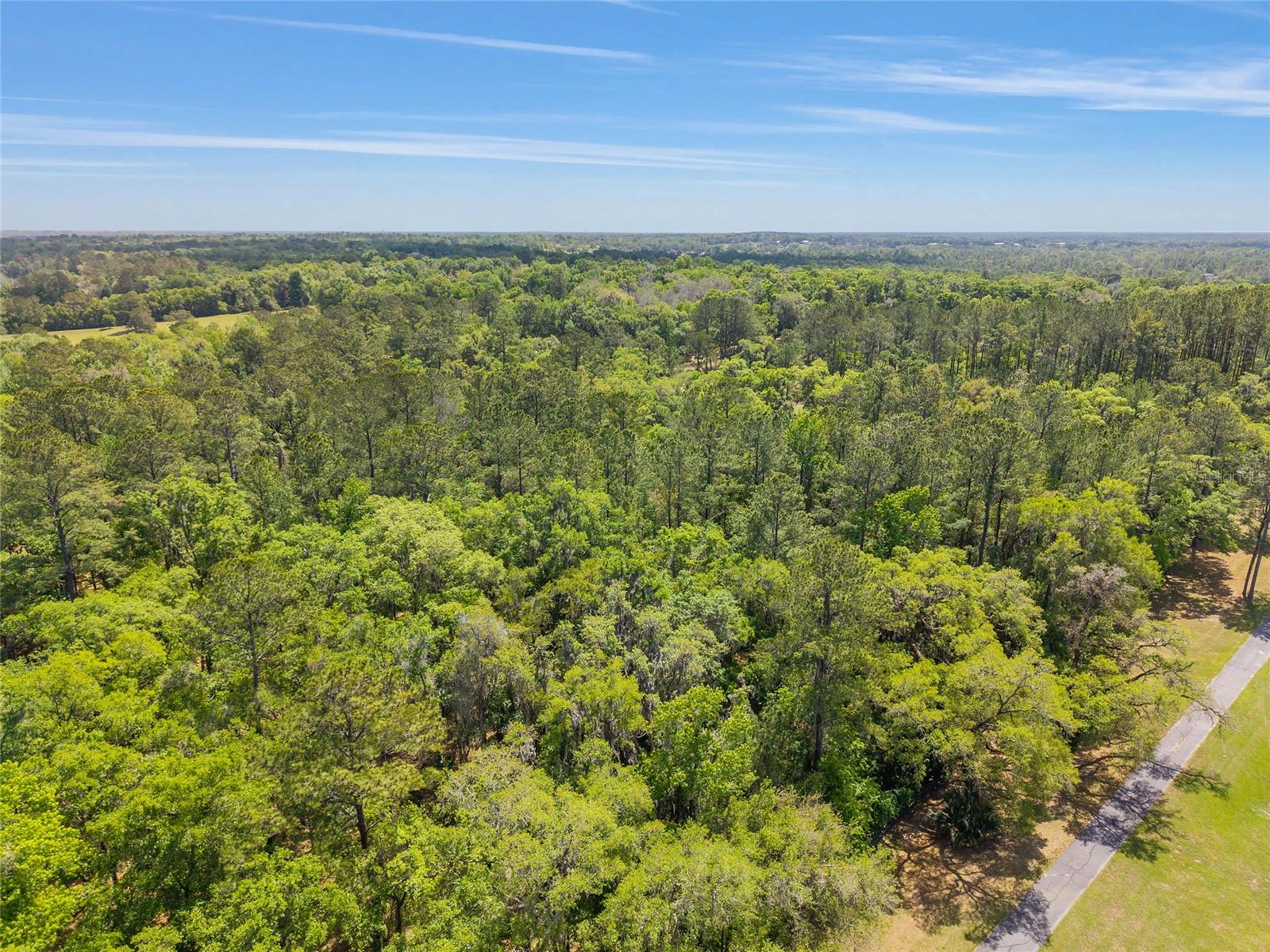 ESTATES/COTTON PLANT - Land
