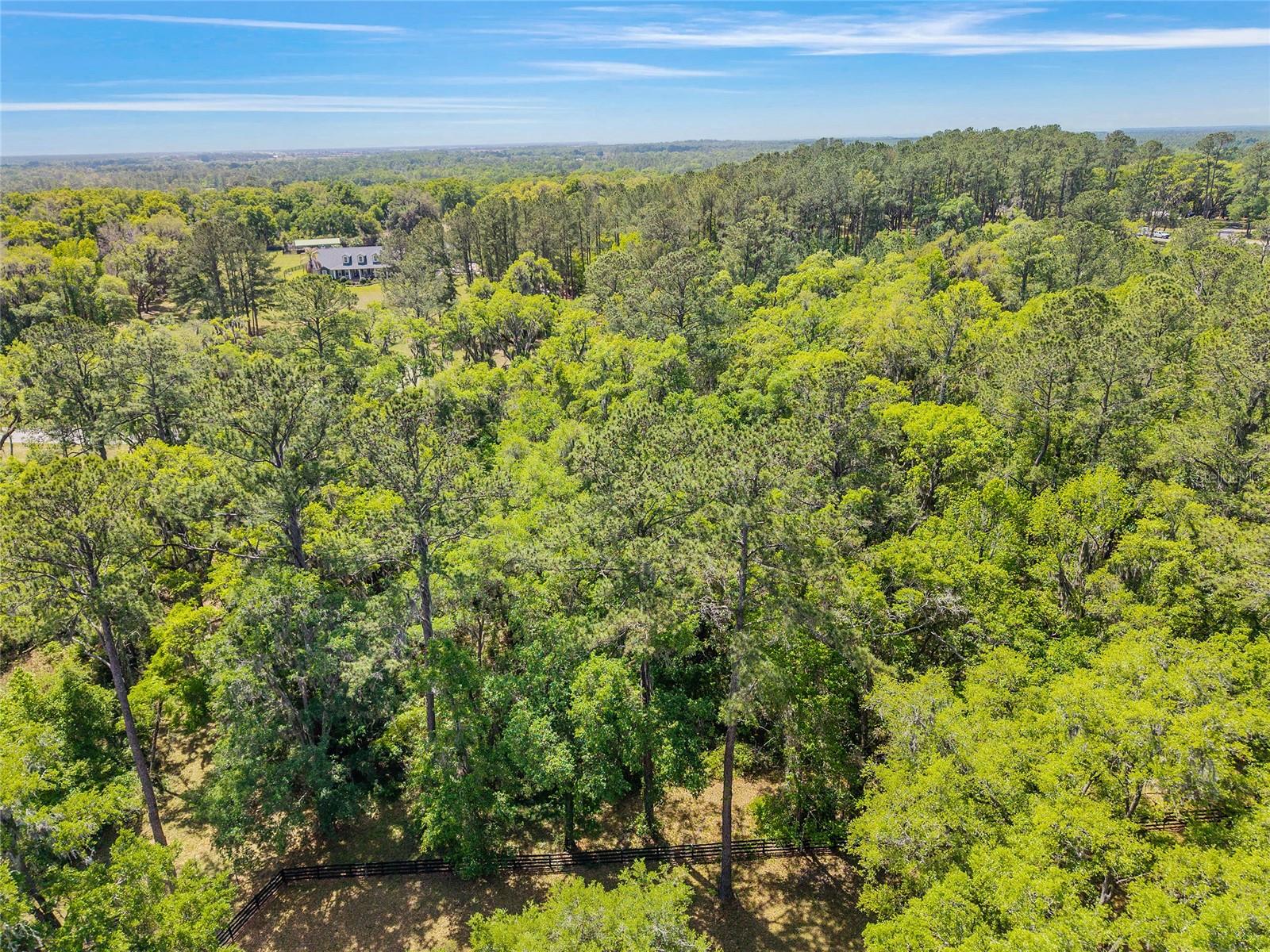 ESTATES/COTTON PLANT - Land