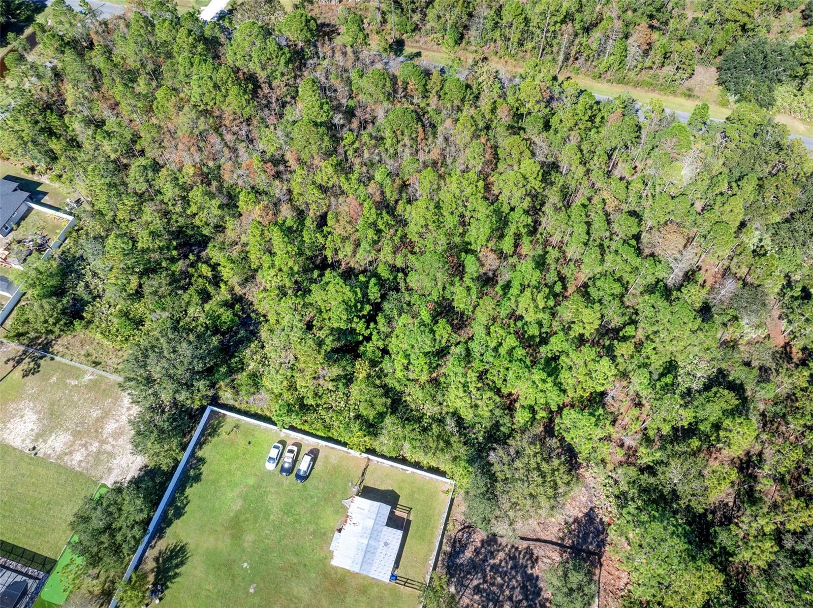 CAPE ORLANDO ESTATES - Land