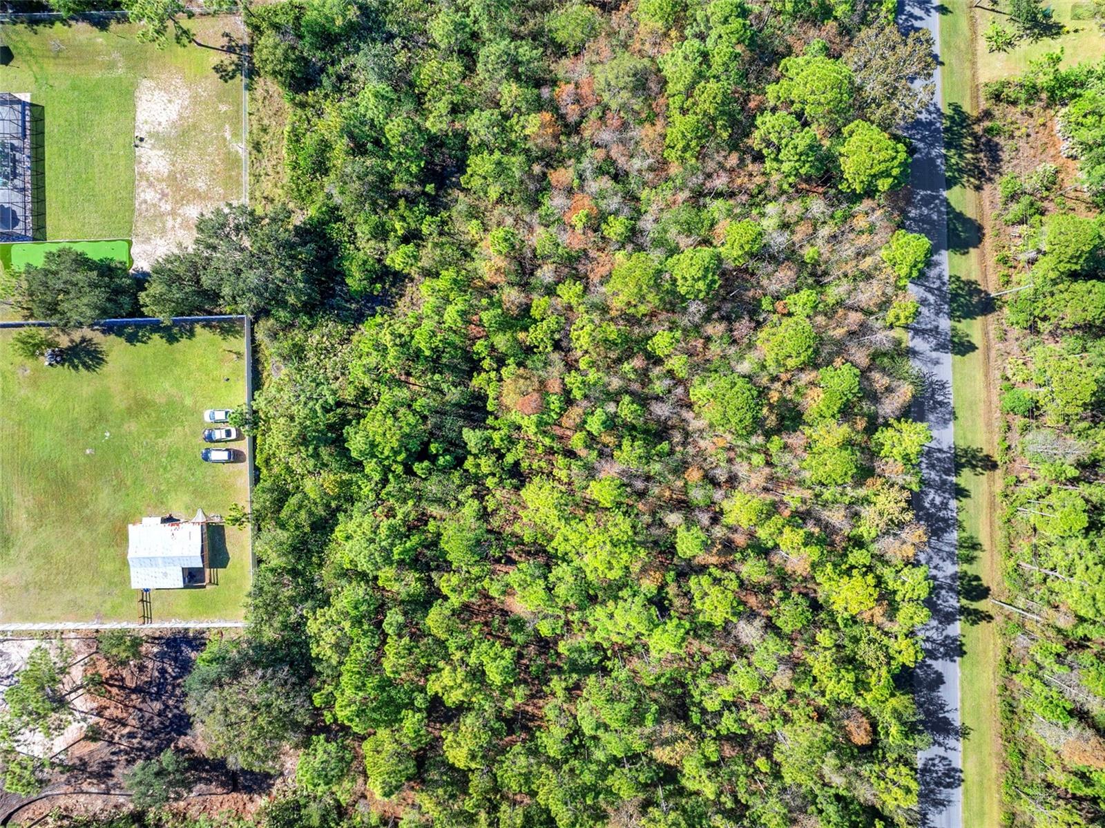 CAPE ORLANDO ESTATES - Land