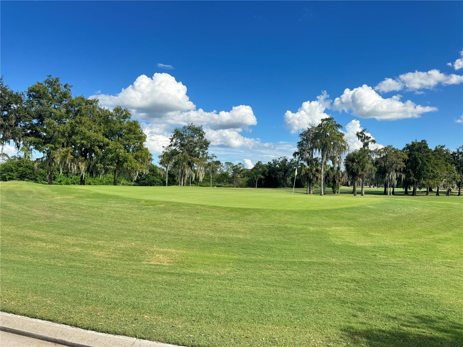 CAPE ORLANDO ESTATES - Land