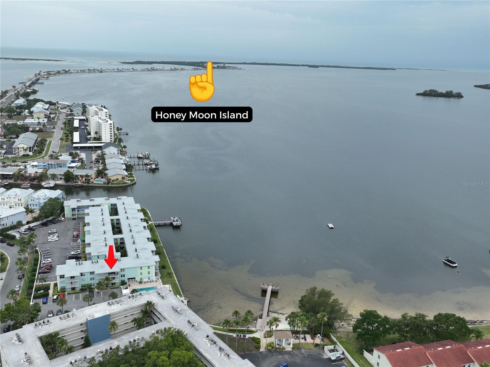DOLPHIN POINTE OF DUNEDIN CONDO - Residential
