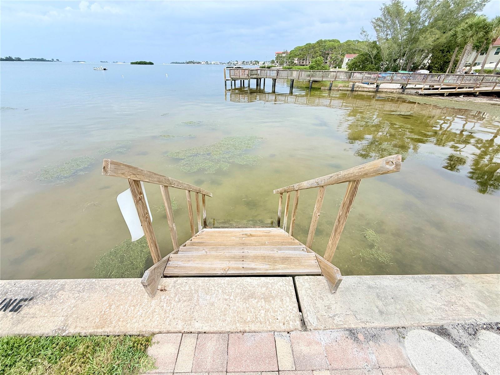 DOLPHIN POINTE OF DUNEDIN CONDO - Residential