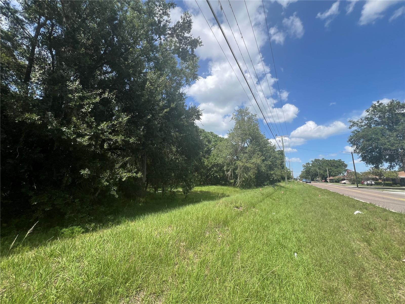 MULTIFAMILY DEVELOPMENT OPPORTUNITY IN EASTERN HILLSBOROUGH COUNTY, TAMPA SUBURBS!! ENTITLEMENTS, APPROVALS IN PLACE WITH SUPPORT DOCUMENTATION AVAILABLE FROM BROKERS WEBSITE WITH ELECTRONIC CONFIDENTIALITY AGREEMENT EXECUTION. Zoning accommodates 12 units per acre Total of 65 units. Engineering and Contractor relationships established and available to handle execution of the project as well.