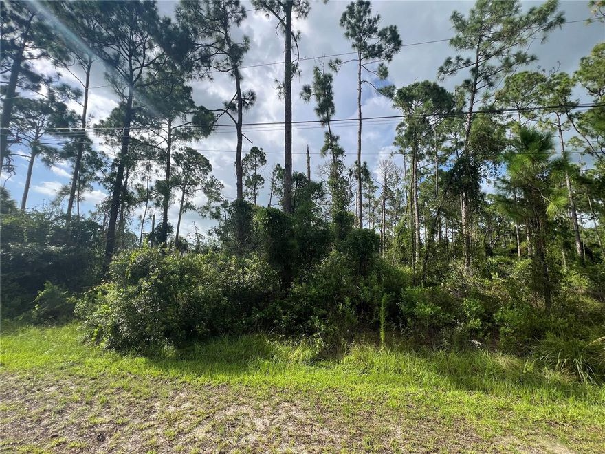 GREAT LOCATION!!!Discover the perfect opportunity to own a piece of North Port, FL, in the heart of a rapidly expanding area. Great vacant lot just 8 minutes away from famous Warm Mineral Spring Lake, a local gem and Just 15-18 minutes from the Wallen Park downtown area and the highly anticipated new Costco store. Great opportunity to buy and build in the heart of fast growing area of North Port, FL. This property is perfectly situated near shopping centers, a variety of dining options, beautiful parks, stunning beaches, and world-class golf courses. Easy access to U.S 41 and Interstate 75 for smooth commuting and travel. Enjoy the freedom of no HOA, Deed Restrictions, or CDD fees, making it an ideal canvas for your dreams. Don't let this incredible property pass you by. Seize the moment to invest in this exceptional opportunity. Your dream home or investment project awaits!