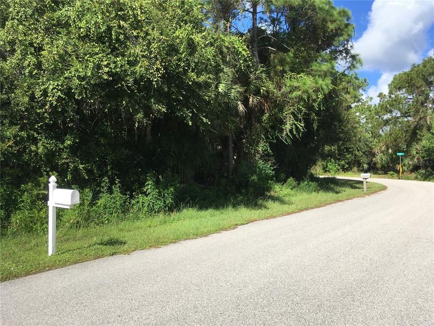 Excellent location on a desirable corner oversize lot, more than 75% of the neighborhood is built with beautiful new homes perfect for families to grow, extremely close and only two blocks from Chamberlain . This amazing oversized inside corner lot on Allegheny Lane and Petunia Terrace, should not be overlooked. Close to Price Blvd., many schools, fabulous shopping and easy access to I-75. Great opportunity that won't last. It is a wooded lot with easy access from two sides.
Vacant lot has two gopher tortoise burrows, has not been determined if they are inhabited