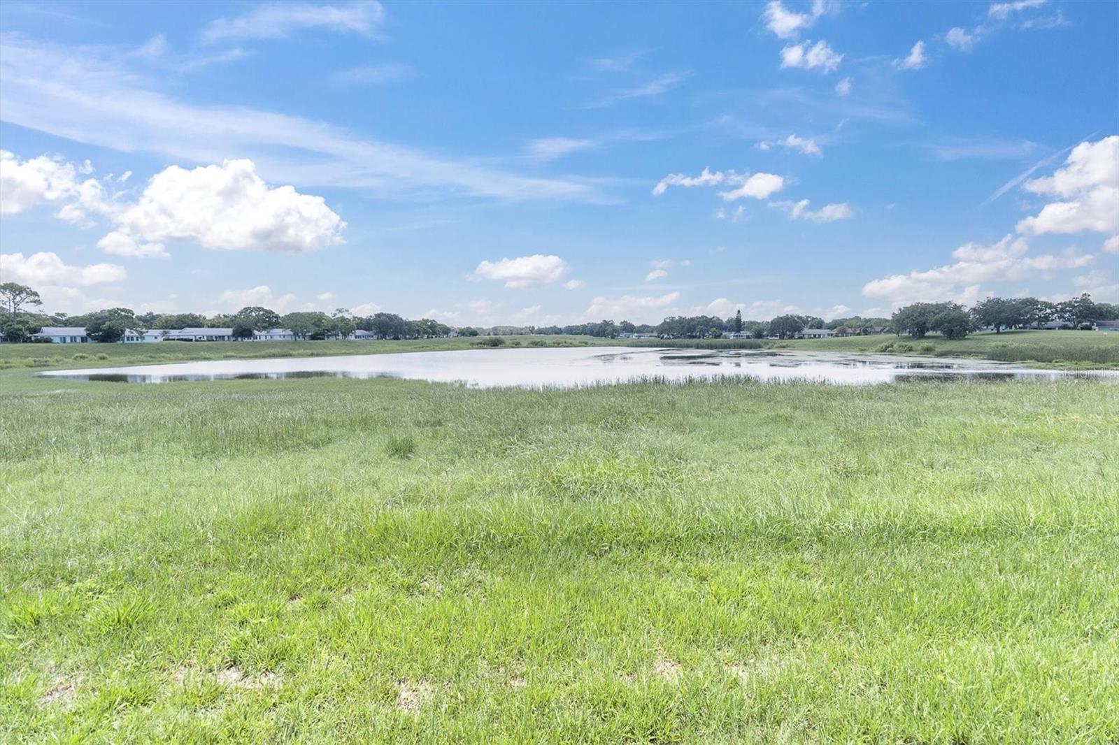 TIMBER OAKS FAIRWAY VILLAS CONDO - Residential