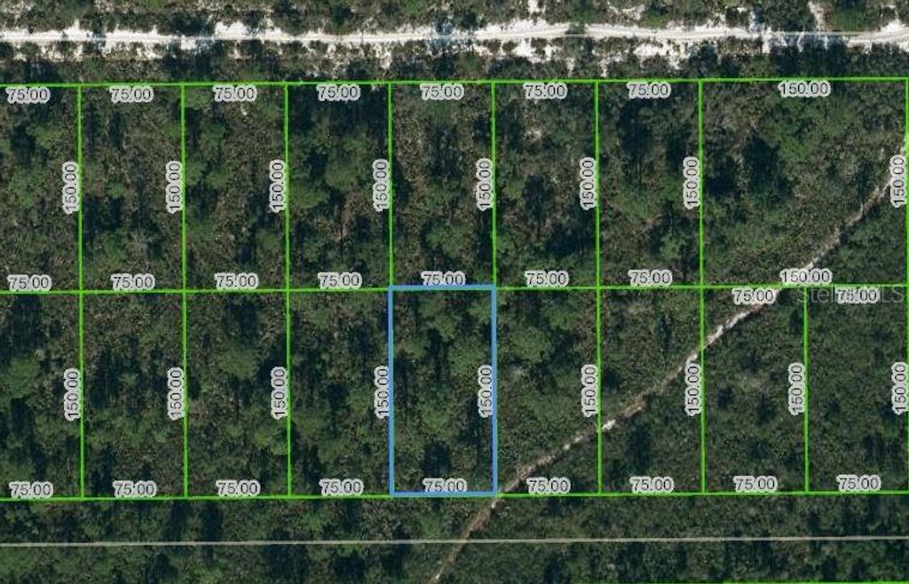 Photo of 1442 Bittersweet Street, Lake Placid, FL 33852 (MLS # OM624805)