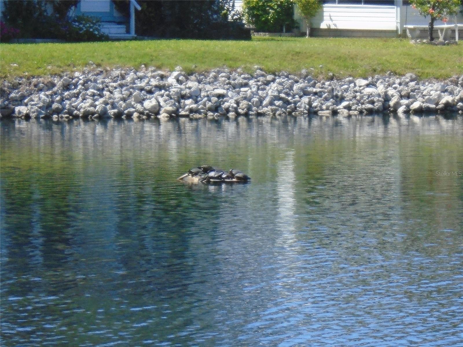 LAKE RICH VILLAGE MOBILE HOME PARK UNREC - Residential