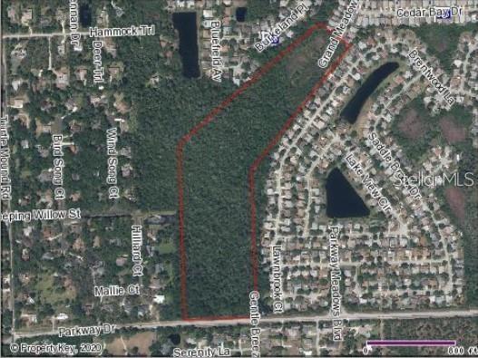 39.72 UNDEVELOPED WOODED ACRES, JUST WEST OF N. WICKHAM ROAD, CLOSE TO ALL AMENITIES, MITIGATION WILL BE REQUIRED TO
DEVELOP.