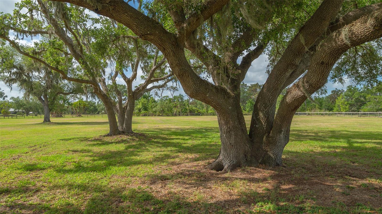 MYAKKA VALLEY RANCHES - Residential Lease