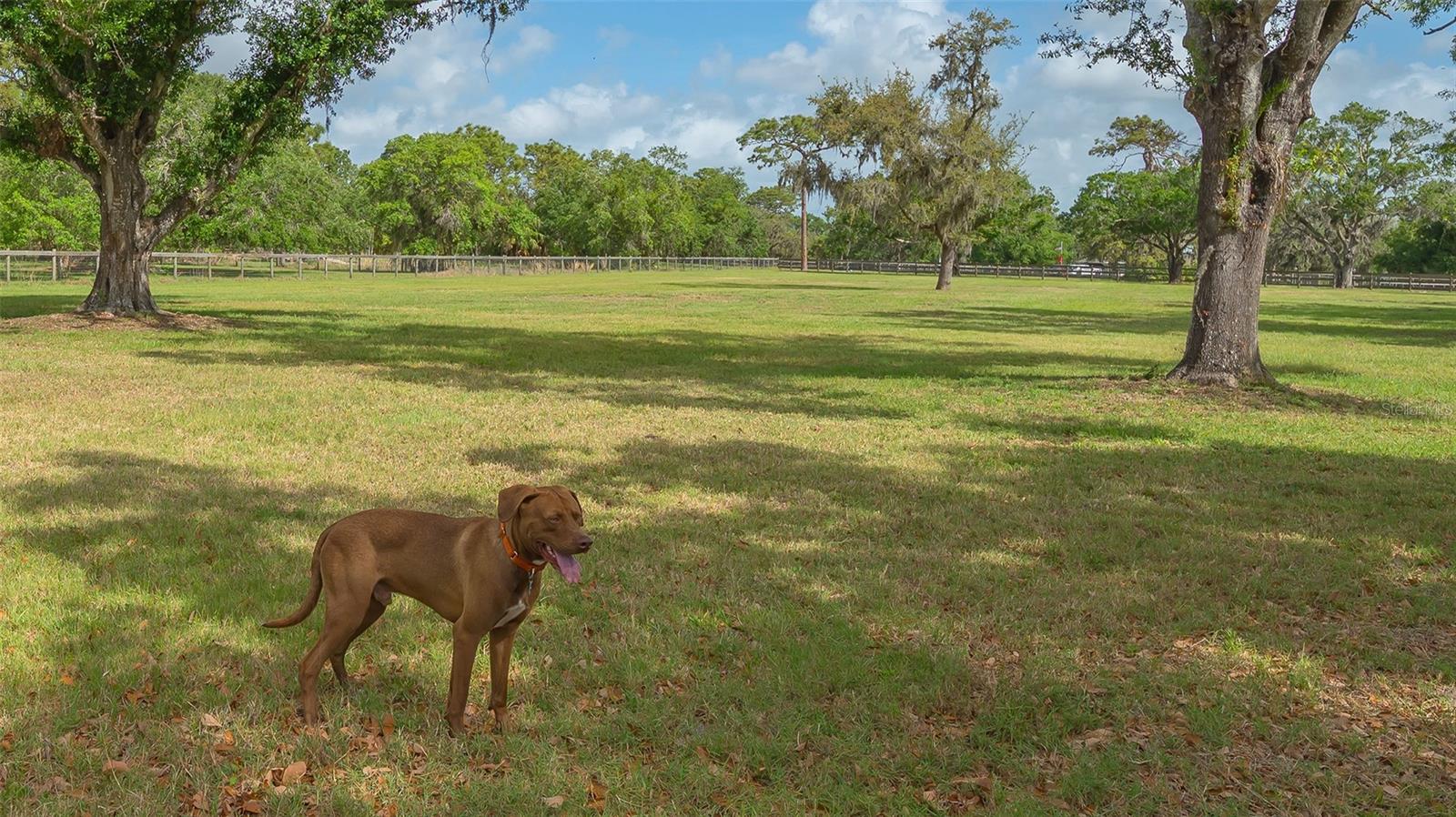 MYAKKA VALLEY RANCHES - Residential Lease