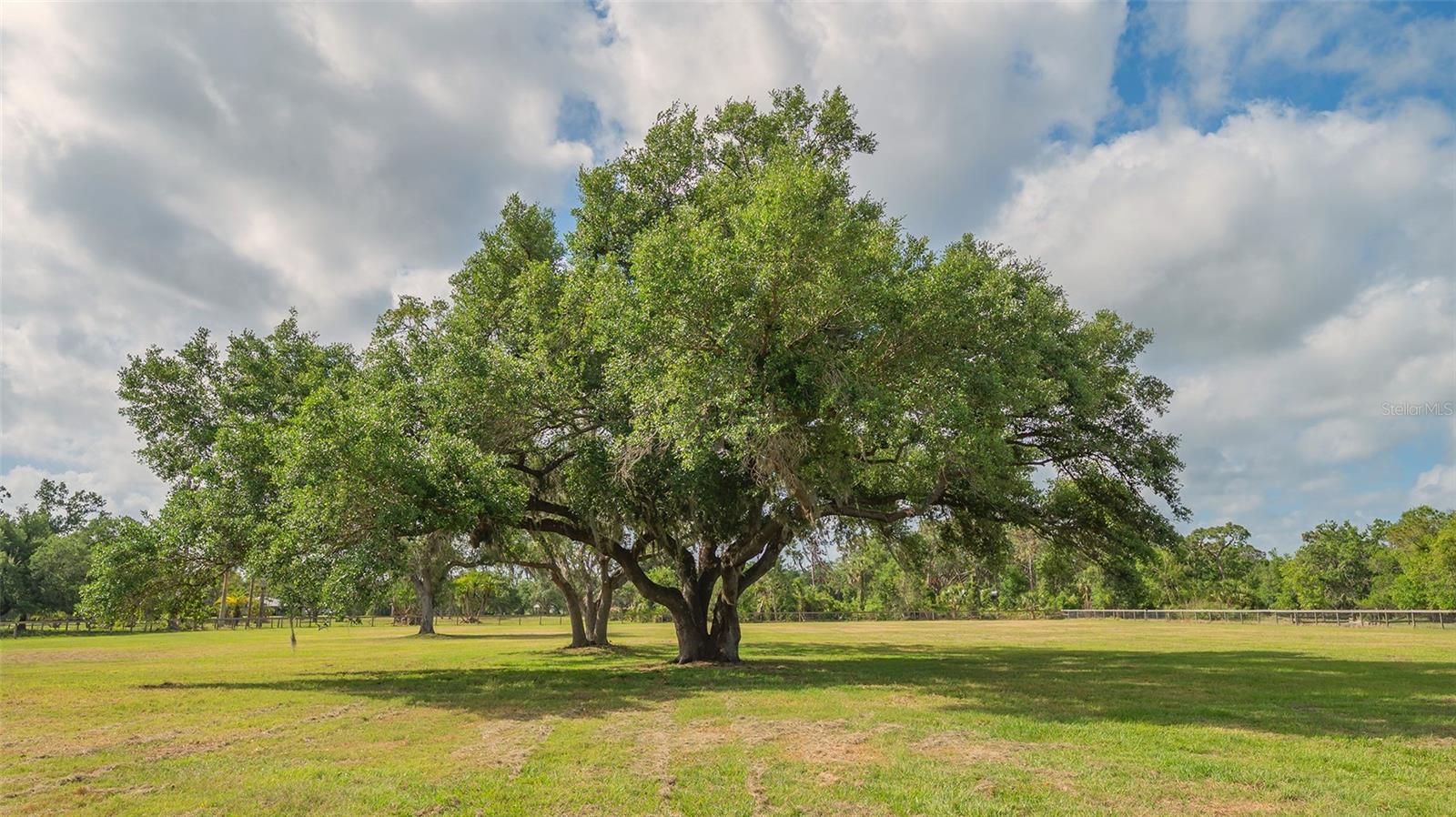 MYAKKA VALLEY RANCHES - Residential Lease