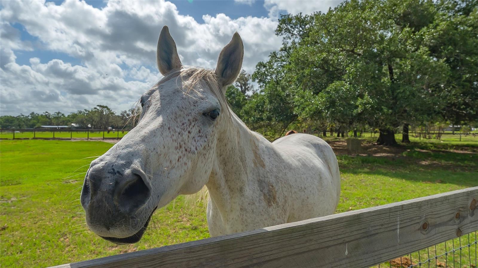 MYAKKA VALLEY RANCHES - Residential Lease