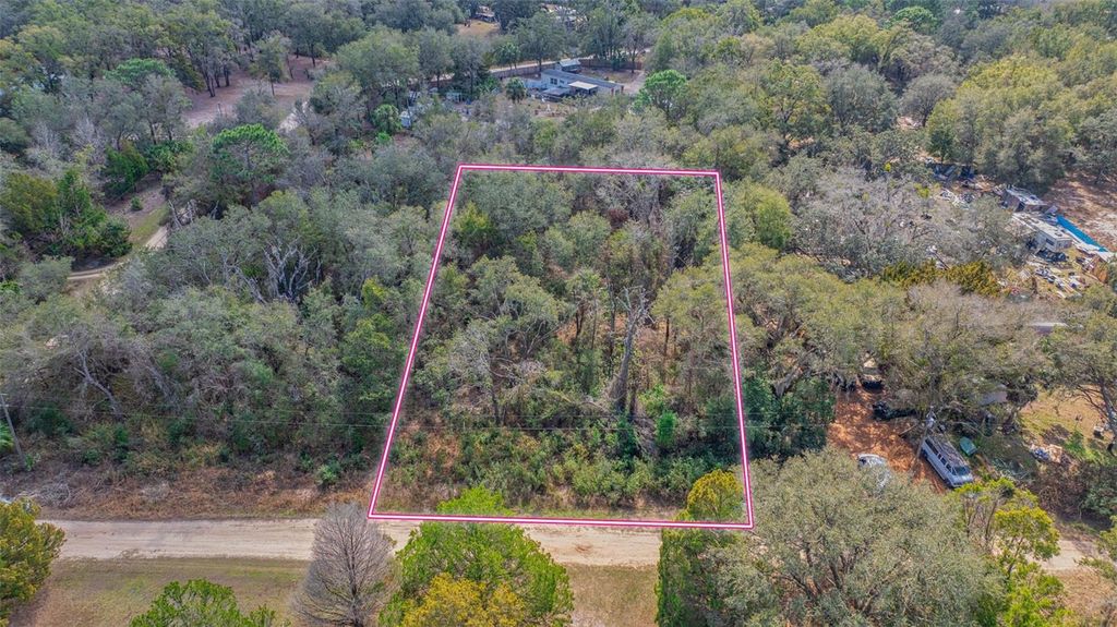 Photo of 9208 W Hercules Lane, Crystal River, FL 34428 (MLS # TB8351799)