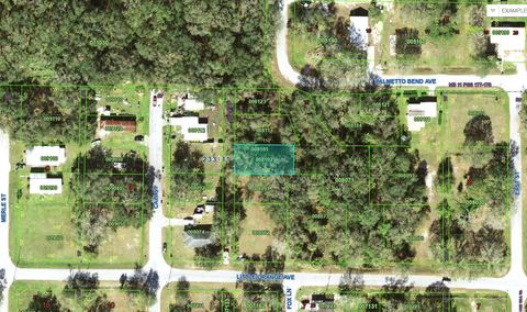LITTLE ORANGE AVENUE MULBERRY FL 33860