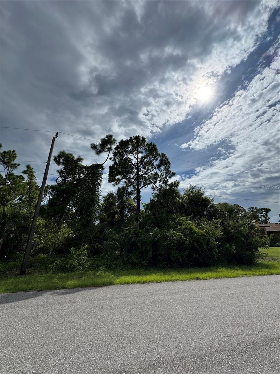 Build you dream Florida waterfront paradise! Stunning saltwater canal lot with direct access to the Mayakka River, Charlotte Harbor into Gulf. Enjoy fishing, boating, and sunsets from your own backyard. Located close to shopping, Warm Mineral springs, Wellen Park and Gulf beaches. Electricity close by!