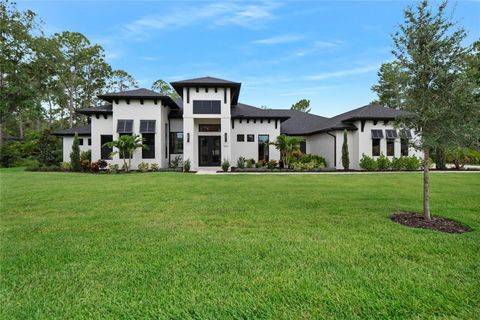 1616 TURNBULL CROSSINGS DRIVE NEW SMYRNA BEACH FL 32168