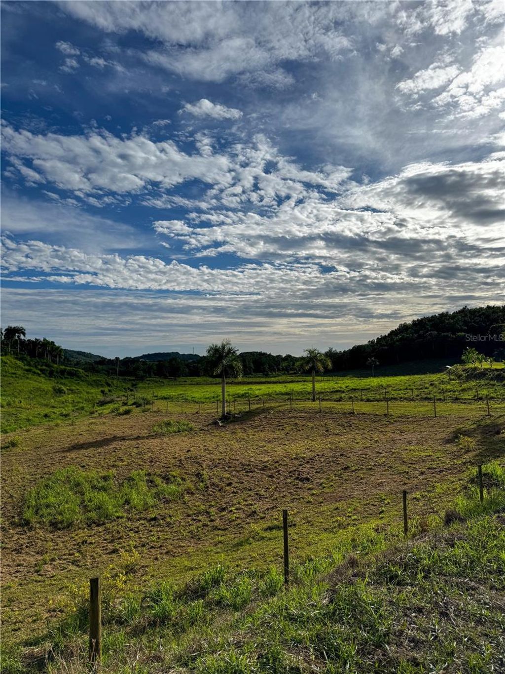 Photo of 972 Mariana, Naguabo, PR 00718 (MLS # PR9117992)