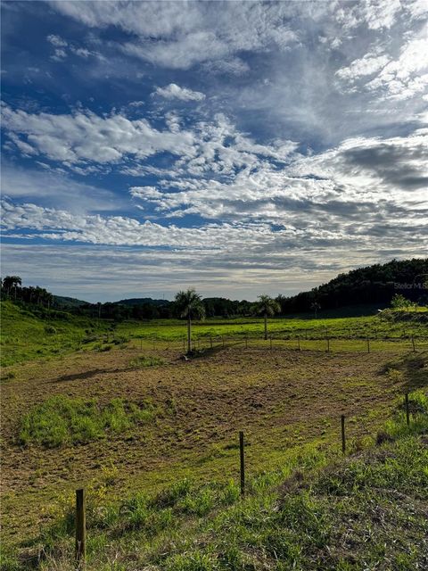 Carr 972 MARIANA NAGUABO  00718