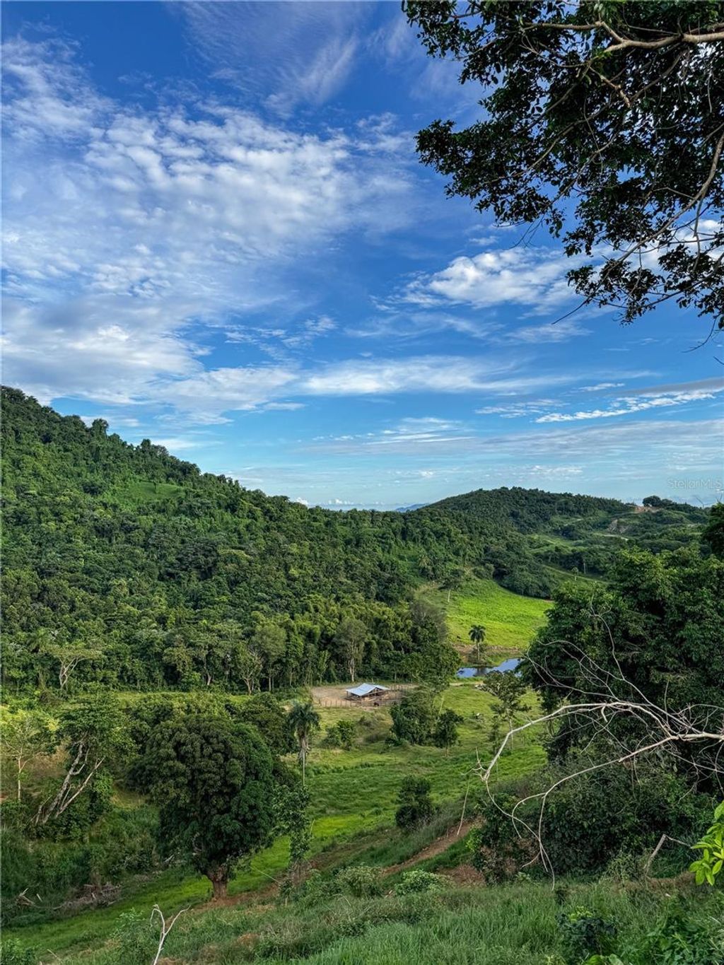 Photo of 972 Mariana, Naguabo, PR 00718 (MLS # PR9117992)