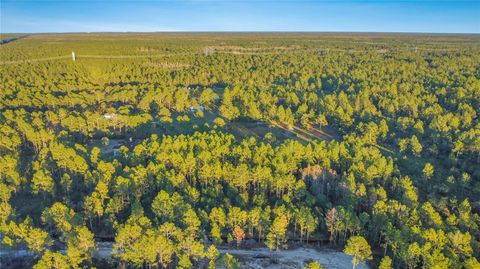 TURKEY ROOST ROAD DELAND FL 32724