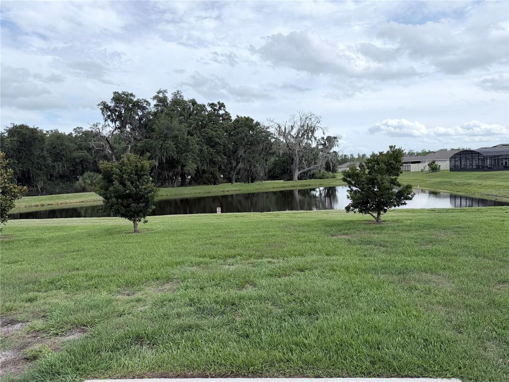 Photo of 1917 Cricket Cradle Drive, Kissimmee, FL 34746 (MLS # O6413261)