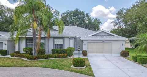 A home in SUN CITY CENTER