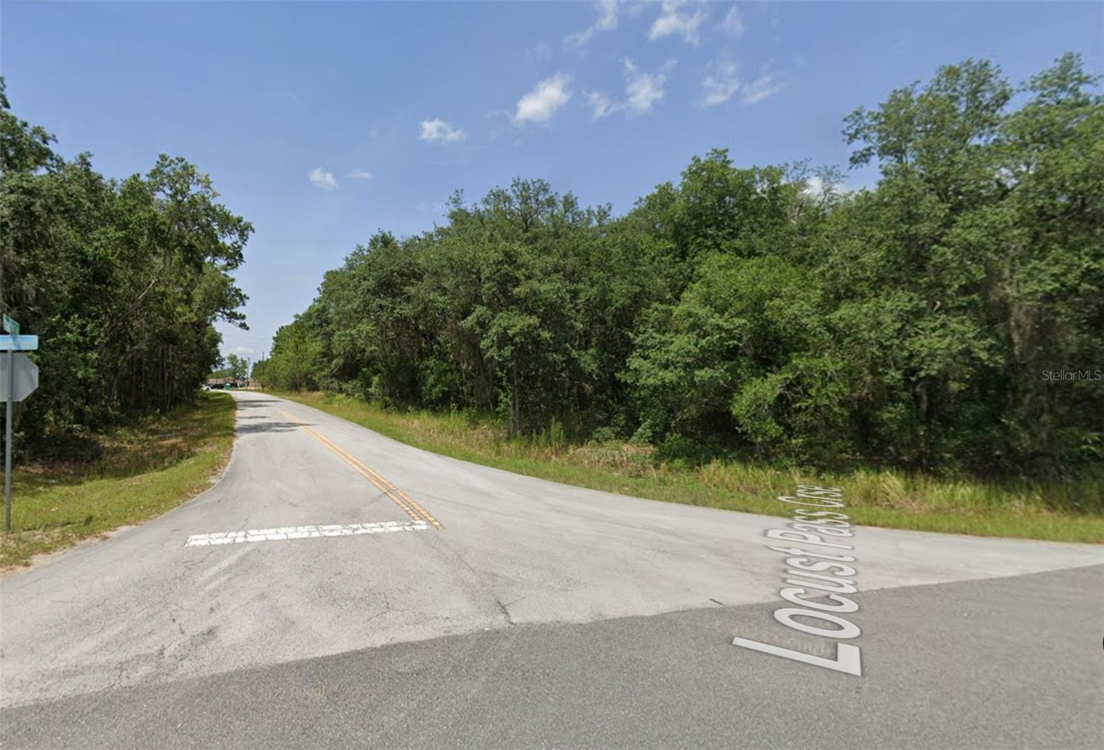Lot 19 LOCUST PASS LANE