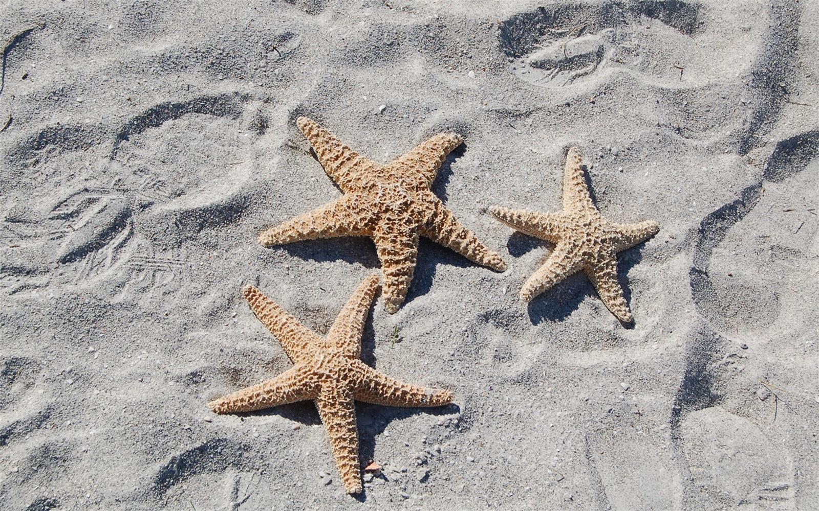 GRAND BAY 3 - Residential