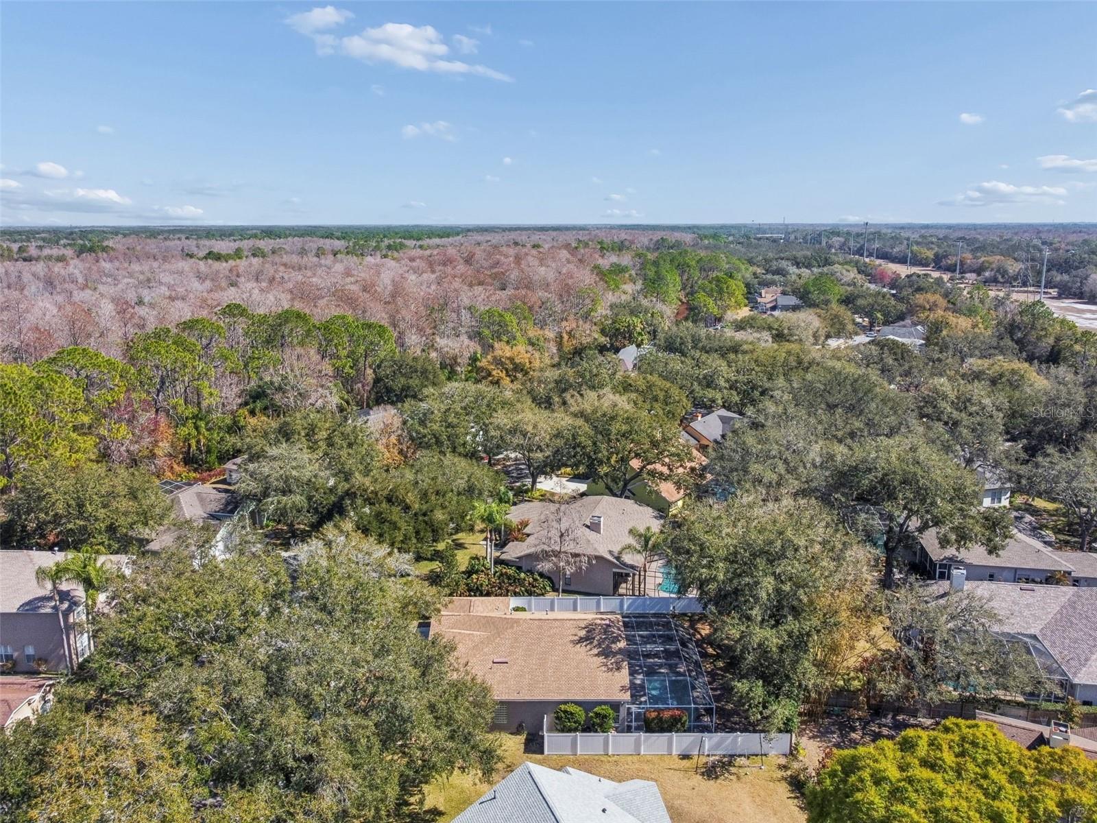 TAMPA PALMS - Residential