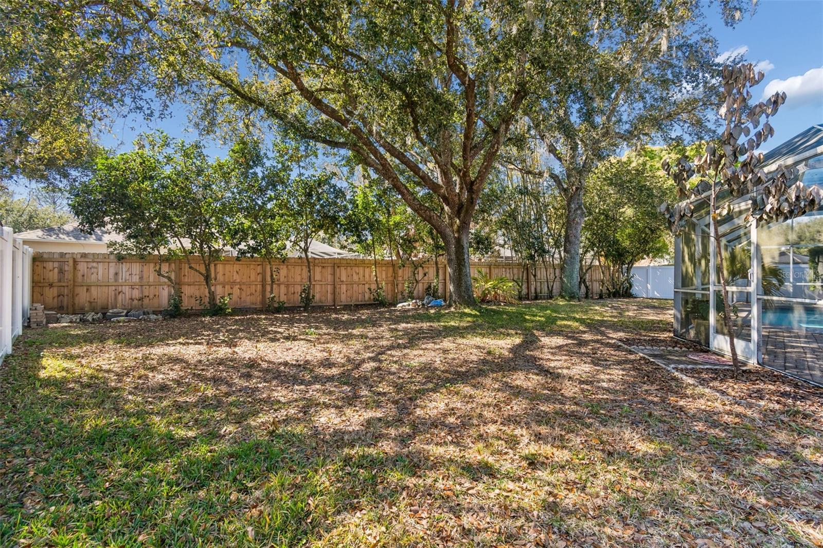 TAMPA PALMS - Residential