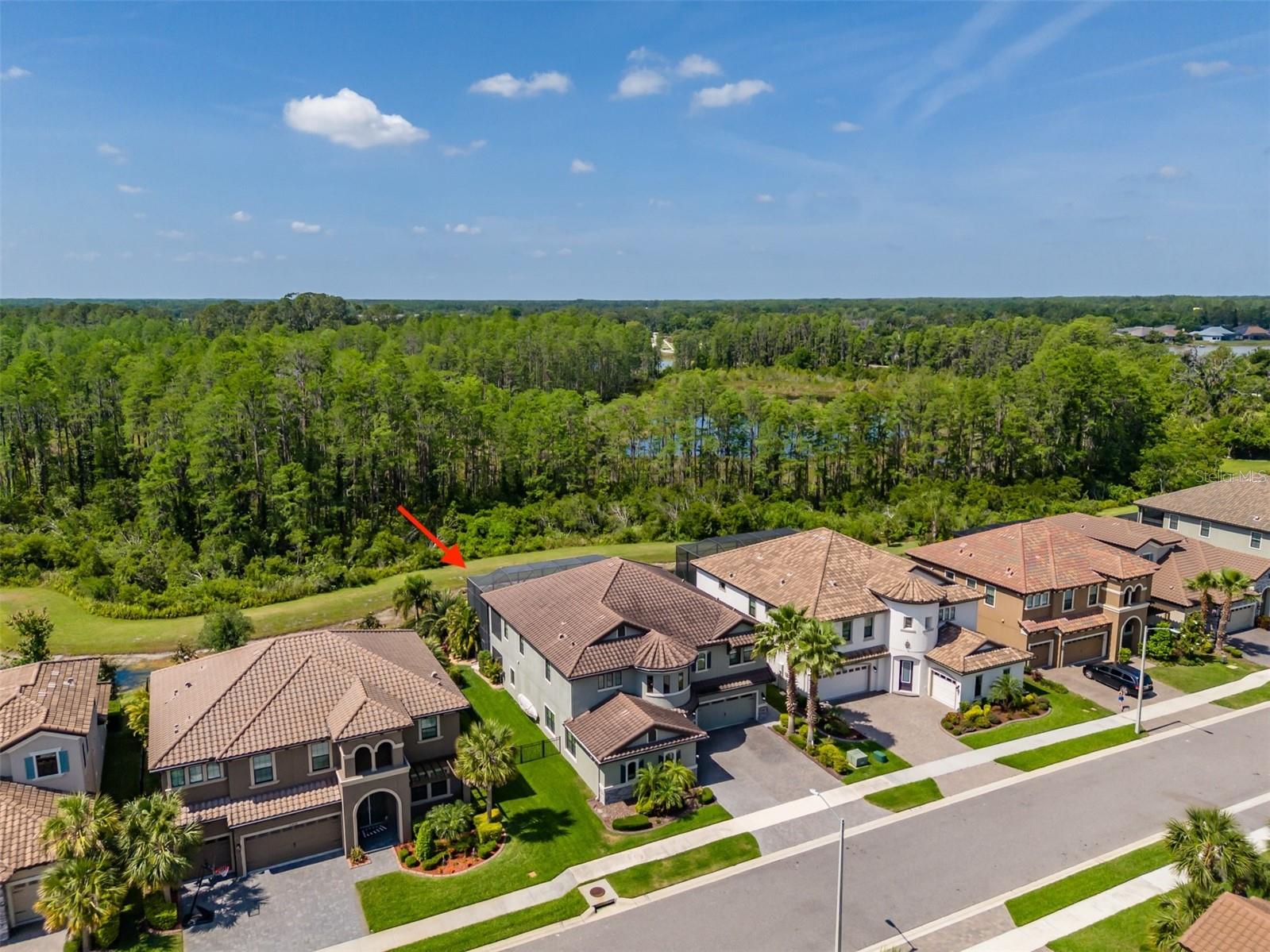 PRISTINE LAKE PRESERVE - Residential
