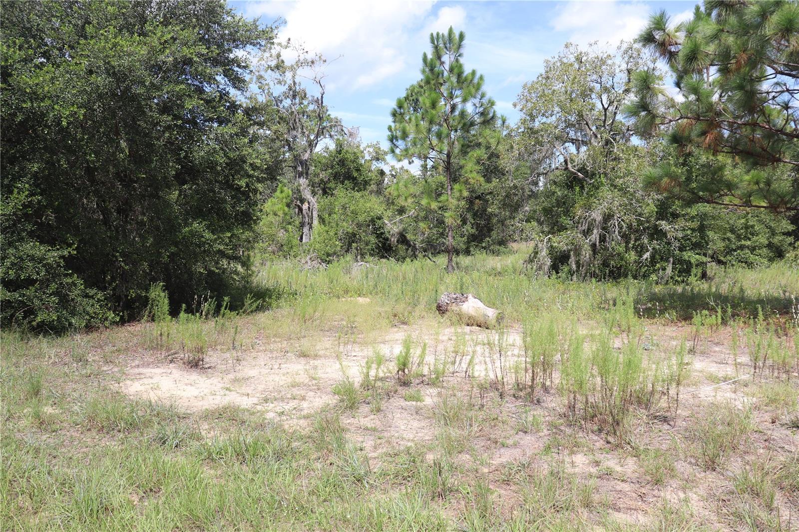 Great location and in a very convenient area for your new Florida home. You would be close to shopping, but not too close and for outdoor fun you have rivers, lake and Gulf of America all are short distance away.