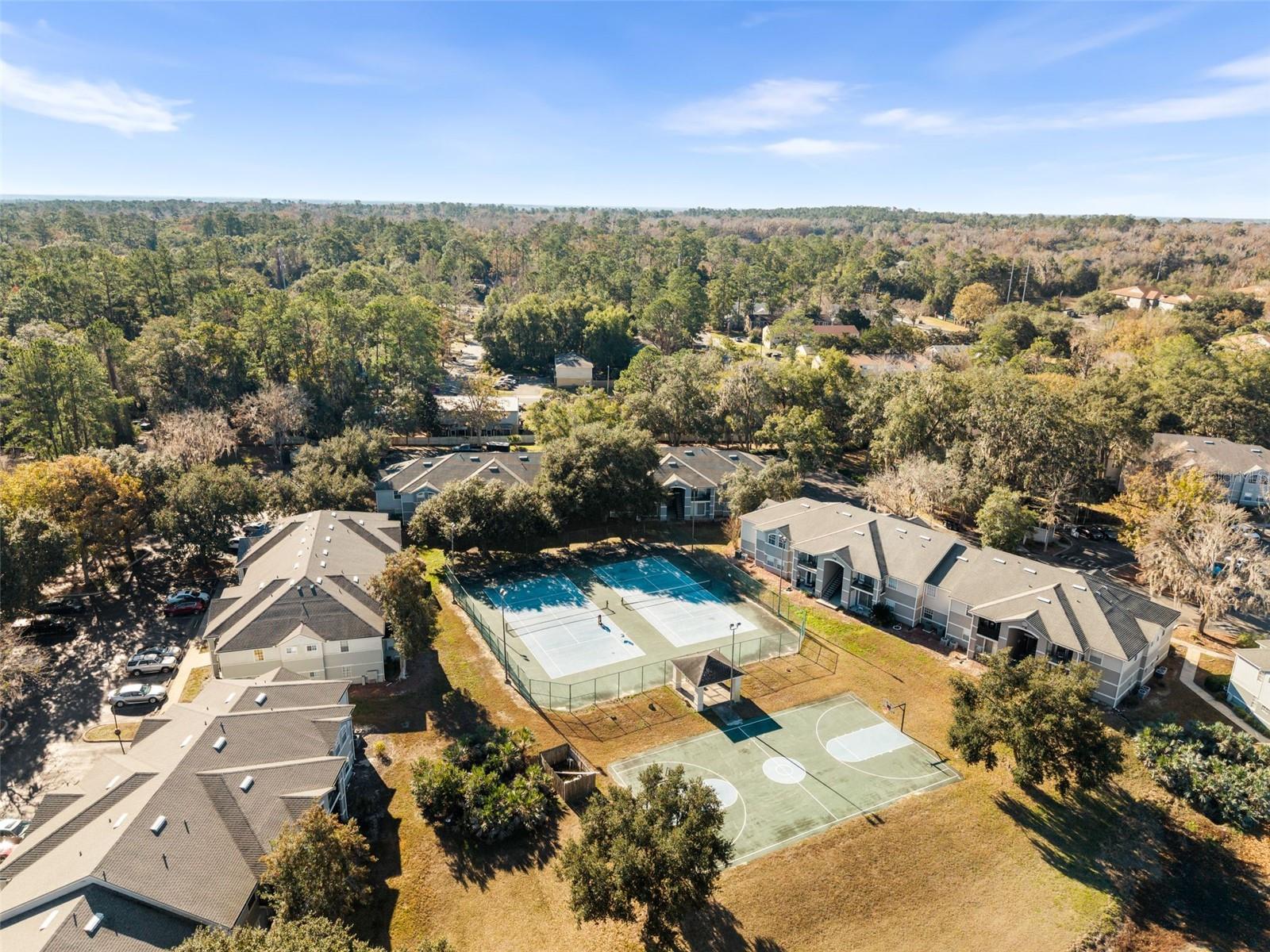 WINDSOR PARK AT GAINESVIL - Residential