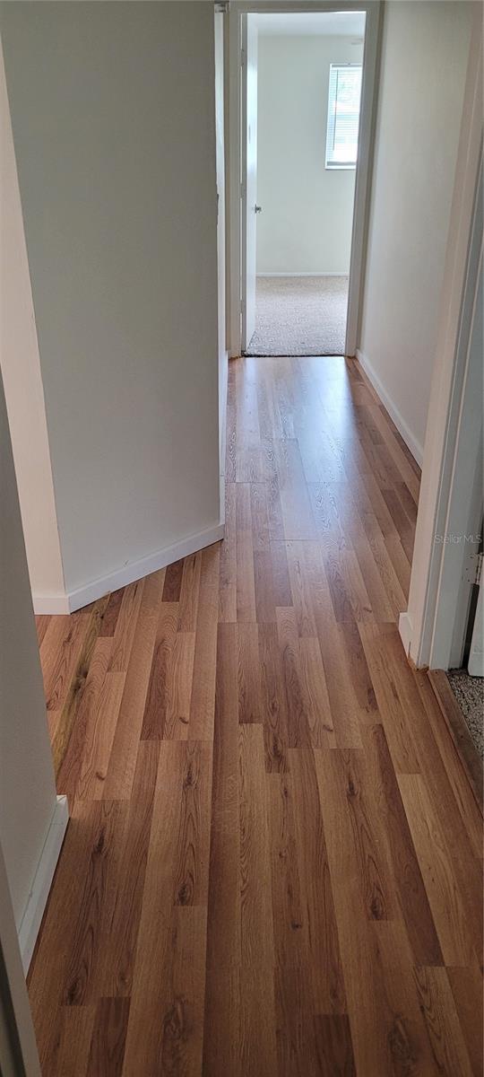 CASAS BONITAS - Residential Lease