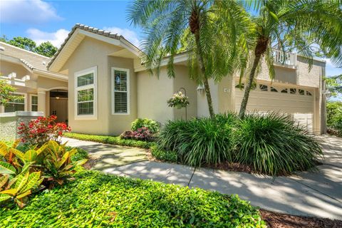 Photo of 423 Fan Palm Court NE, St Petersburg, FL 33703 (MLS # TB8388162) Photo of 423 Fan Palm Court NE, St Petersburg, FL 33703 (MLS # TB8388162)