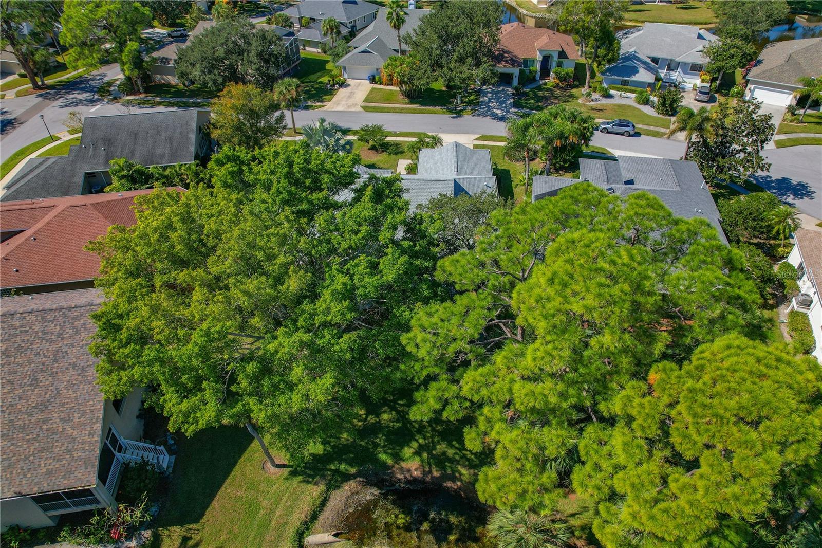 POINTE ALEXIS SOUTH PH II PT REP - Residential