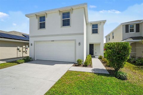 12068 DOWNY BIRCH DRIVE RIVERVIEW FL 33569