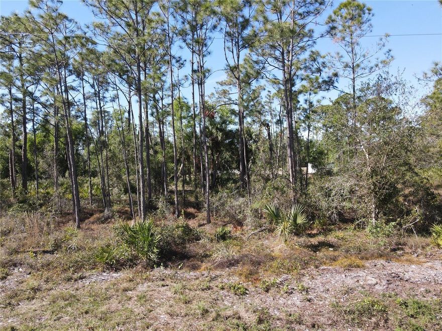 Great opportunity to secure your own piece of Tropical Gulf Acres! This desirable lot offers both privacy and convenience, tucked in a growing community with easy access to I-75, shopping, dining, and schools. With development on the rise, now is the ideal time to invest in this sought-after area. Don’t wait—schedule a visit today and see the potential for yourself!