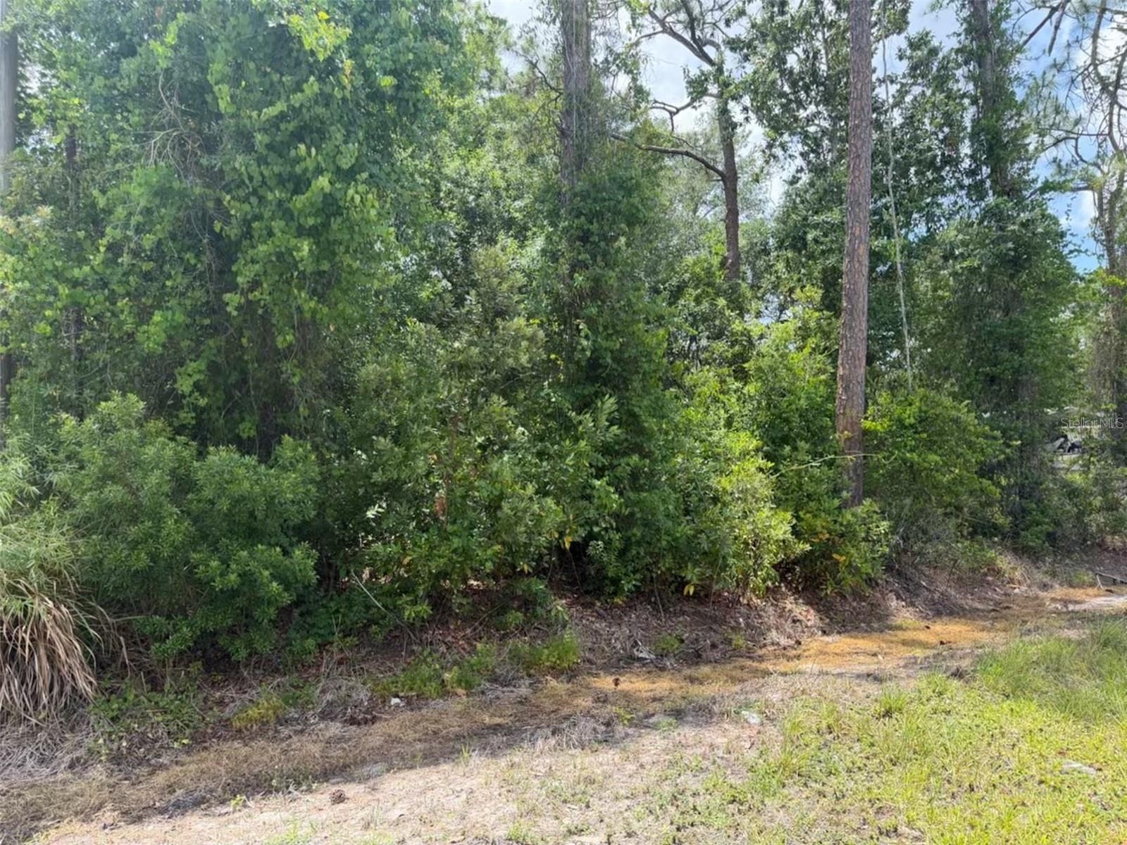 LAKE HAVEN ESTATE SEC 02 - Land
