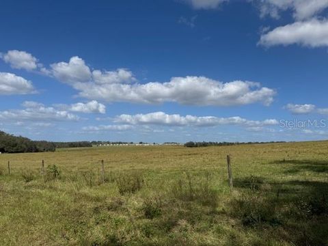 A home in ZEPHYRHILLS