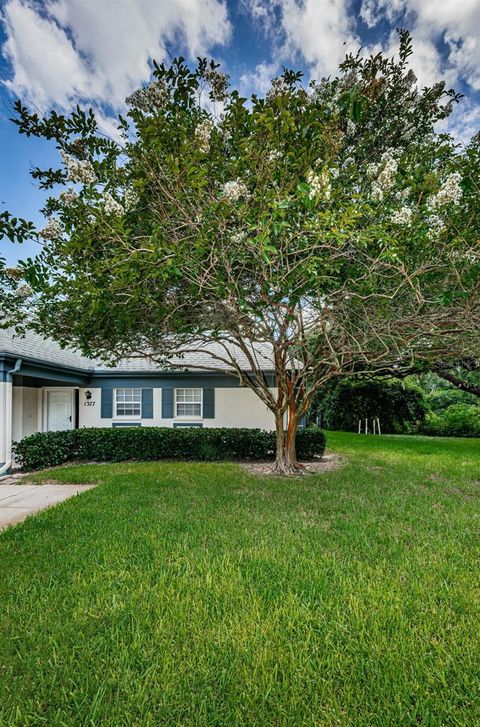 A home in CLEARWATER