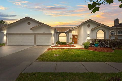 9408 BLUEBIRD DRIVE TAMPA FL 33647